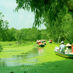 Phát Triển Du Lịch Bền Vững: Thách Thức Và Cơ Hội Của Khu Vực Đồng Bằng Sông Cửu Long